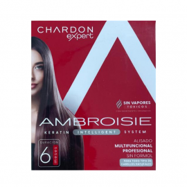 KIT TRATAMIENTO ALISANTE INTELLIGENT SYSTEM 125 ml