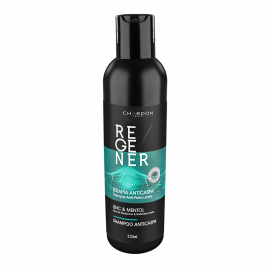 SHAMPOO ANTICASPA ZINC & MENTOL 250ML