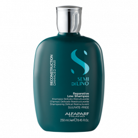 SHAMPOO RECONSTRUCTION 250ML