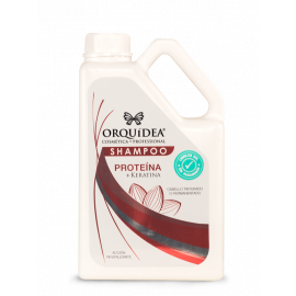 SHAMPO DE ACEITE DE ALBARICOQUE PARA CABELLO TINTURADO 2000ML