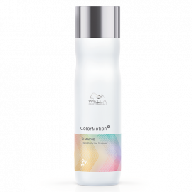 SHAMPOO PROTECTOR DEL COLOR 250ML