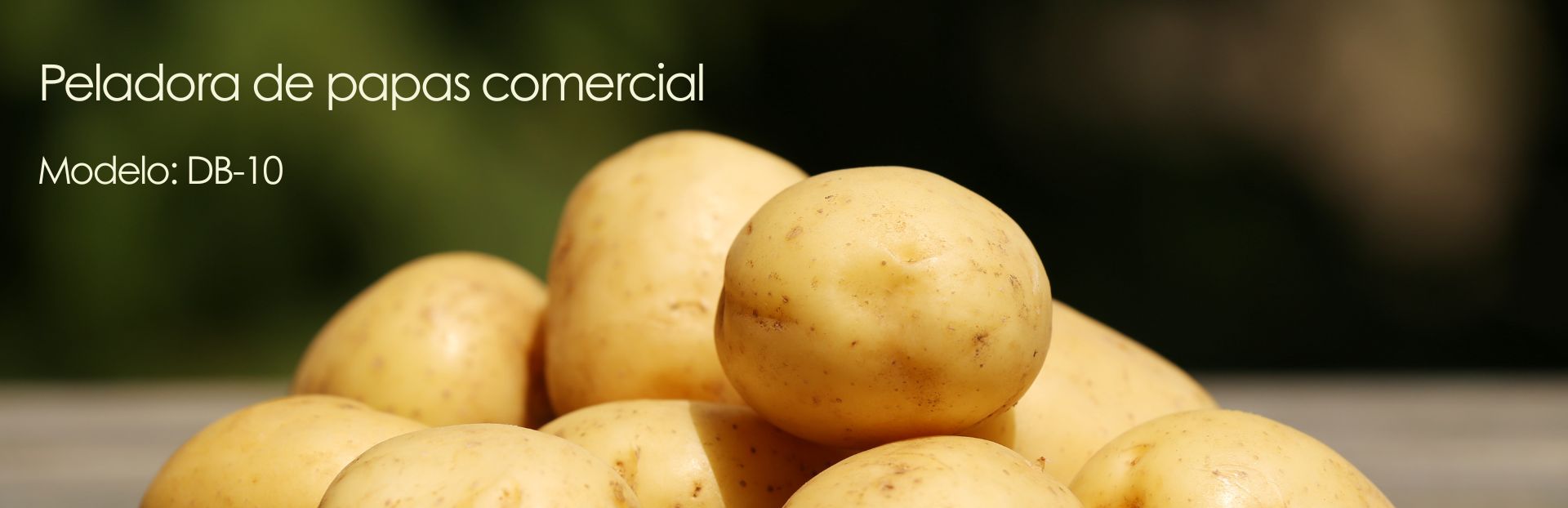 Banner principal PELADORA DE PAPAS;